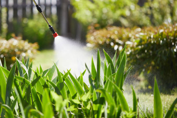24/7 Emergency Cockroach Control experts in Fairfield Harbour, NC