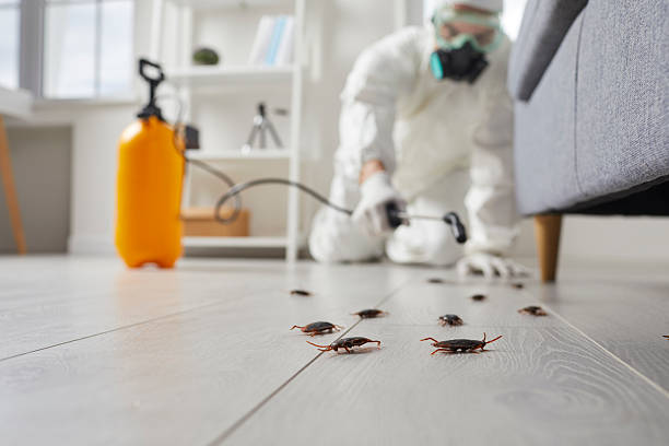 Trusted Termite Control service in Fairfield Harbour, NC - Nex Pest Control