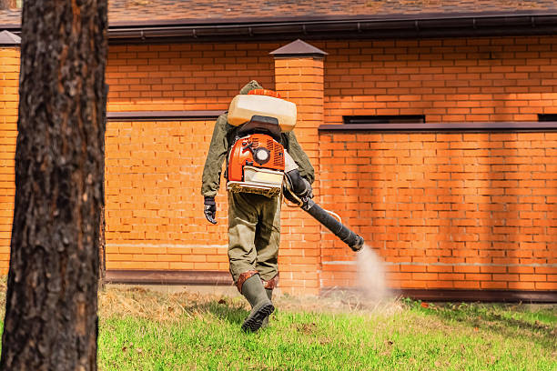 Trusted Bed Bug Control service in Fairfield Harbour, NC - Nex Pest Control